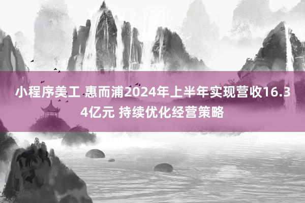 小程序美工 惠而浦2024年上半年实现营收16.34亿元 持续优化经营策略