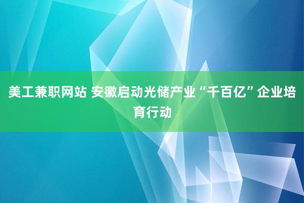 美工兼职网站 安徽启动光储产业“千百亿”企业培育行动