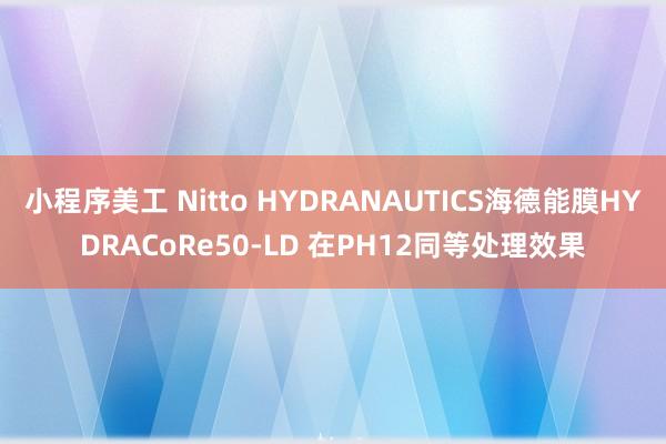 小程序美工 Nitto HYDRANAUTICS海德能膜HYDRACoRe50-LD 在PH12同等处理效果